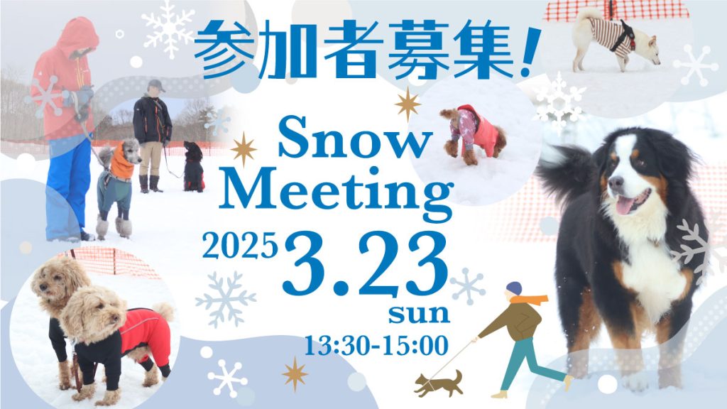 snowmeeting2025