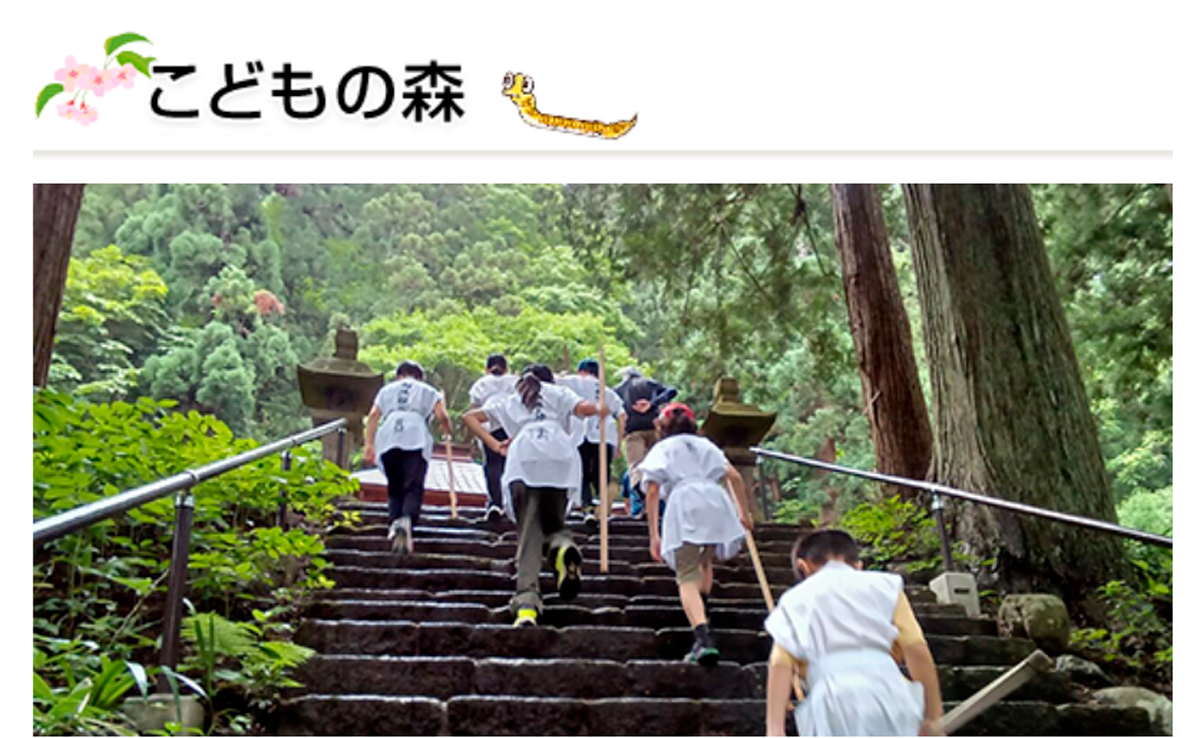 月例登山『初夏のお山　太陽の道ハイク』