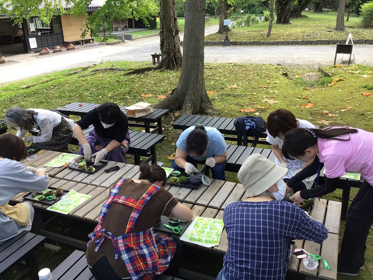 苔テラリウム作り体験