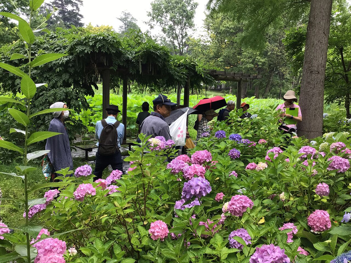 弘前城植物園散策ガイド