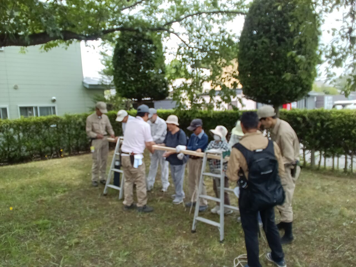サワラ生垣の剪定講習会