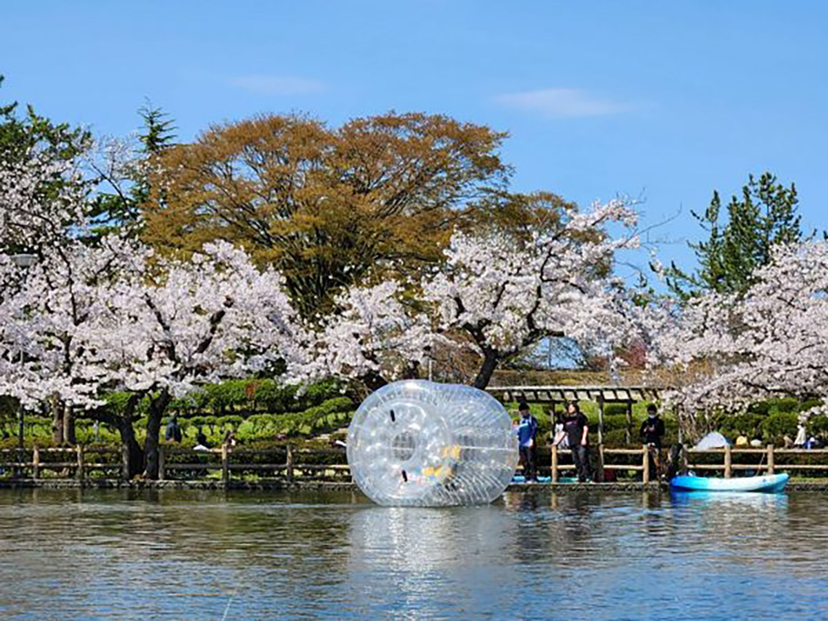 水上・陸上アクティビティ体験