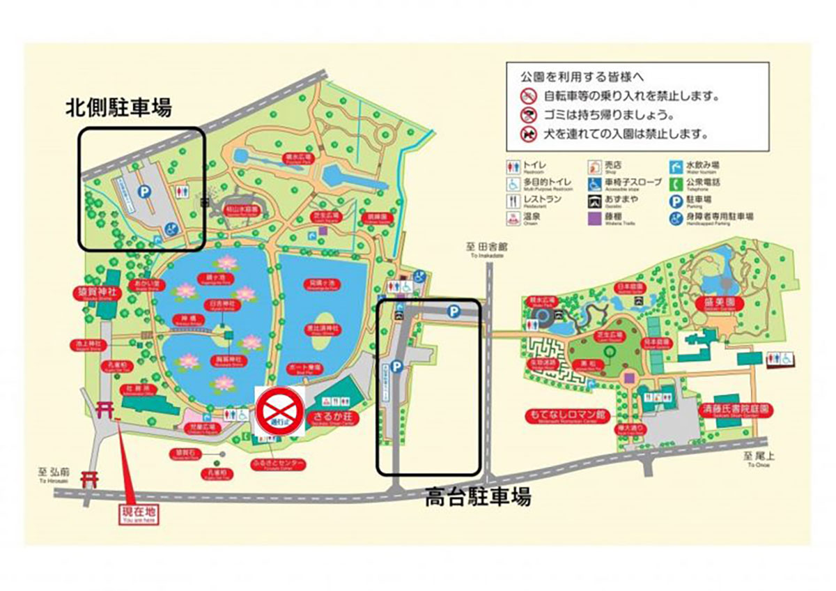 蓮の花まつり2025