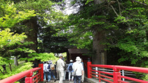 樹木医と行く古木・名木めぐり