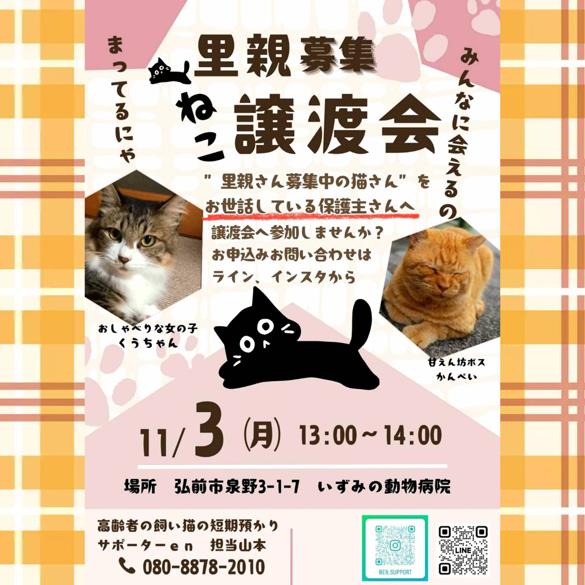 ねこ譲渡会