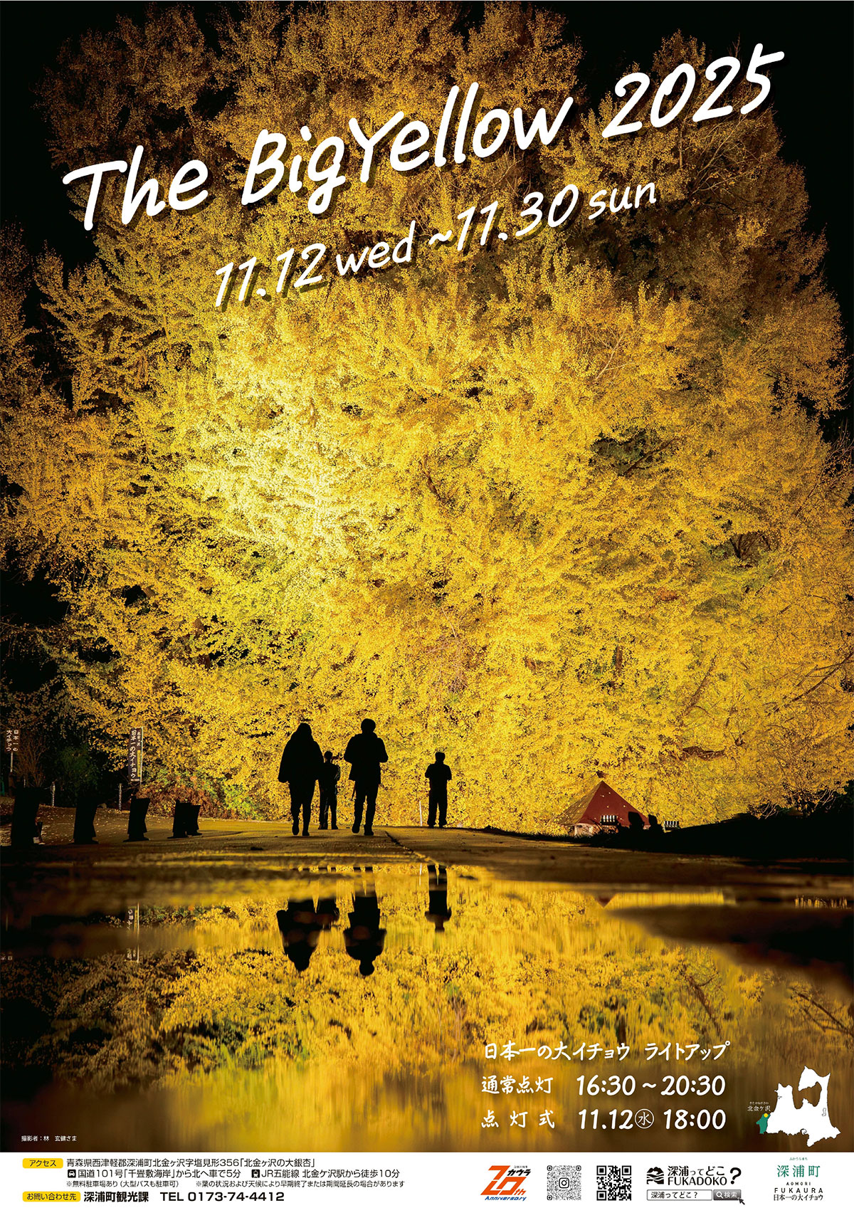 日本一の大イチョウ・ライトアップ～ビッグイエロー2025～