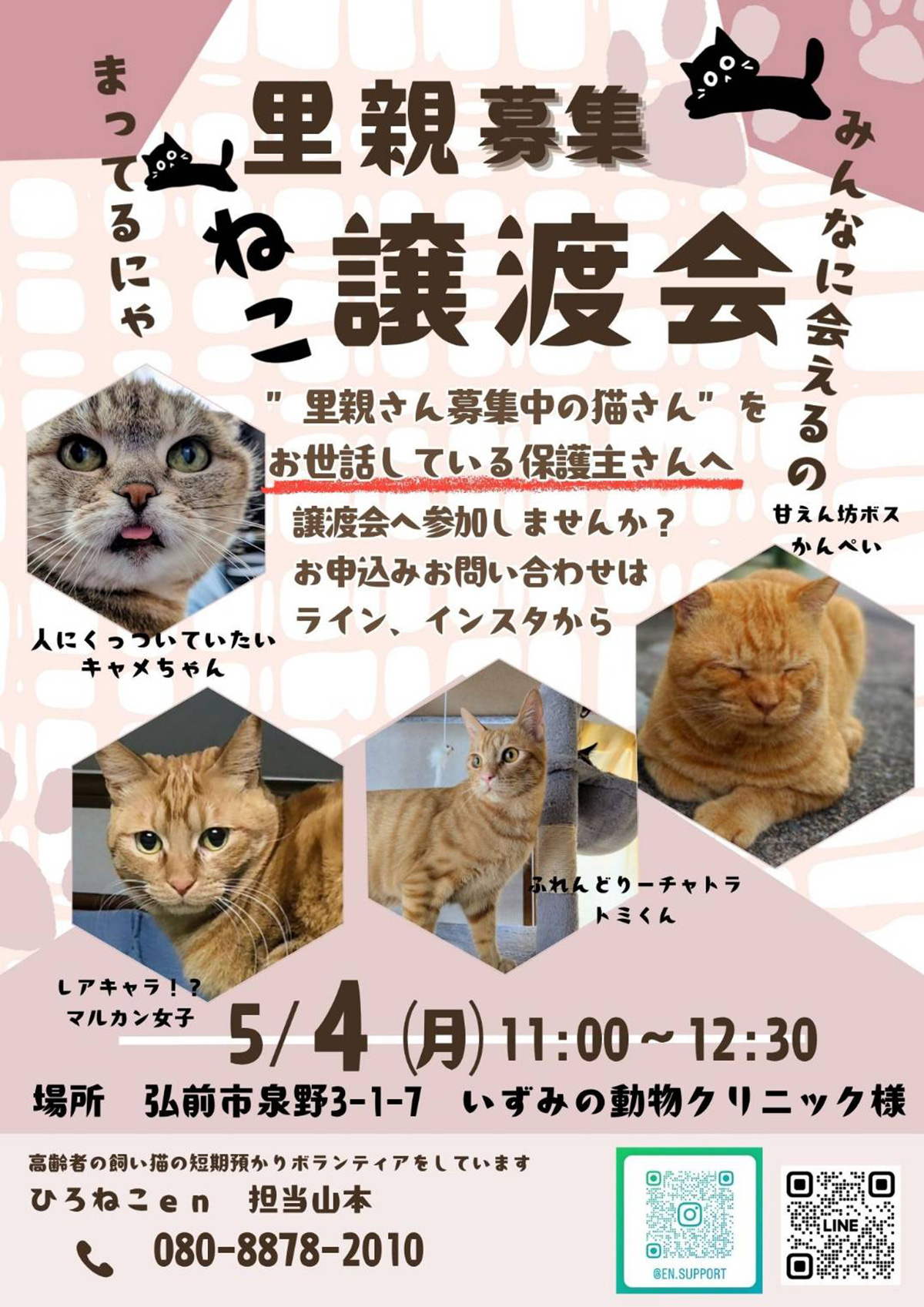 ねこ譲渡会