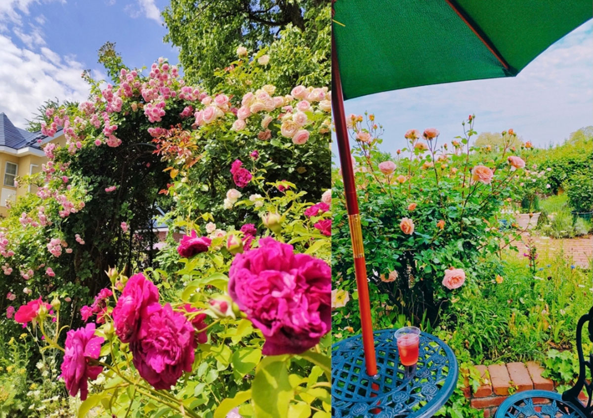 薔薇ヨガ＆ピラティス in Garden