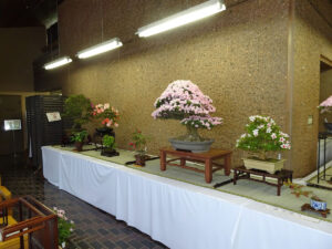 盆友会　さつき花季展