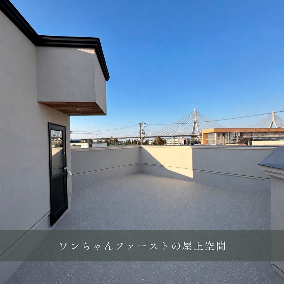 完成見学会