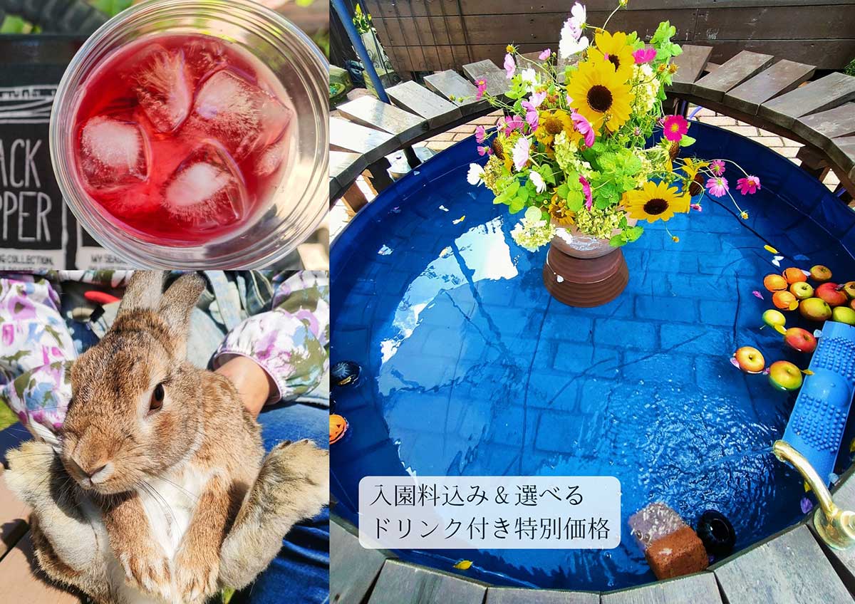 秋桜ヨガ＆ピラティスinGARDEN 2026