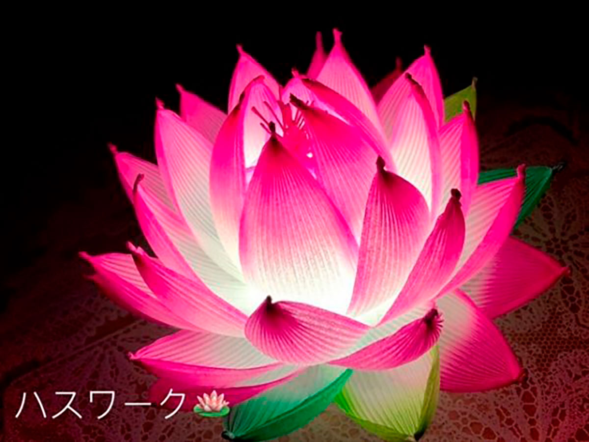 夏休みクラフトワークショップin蓮の花まつり2026