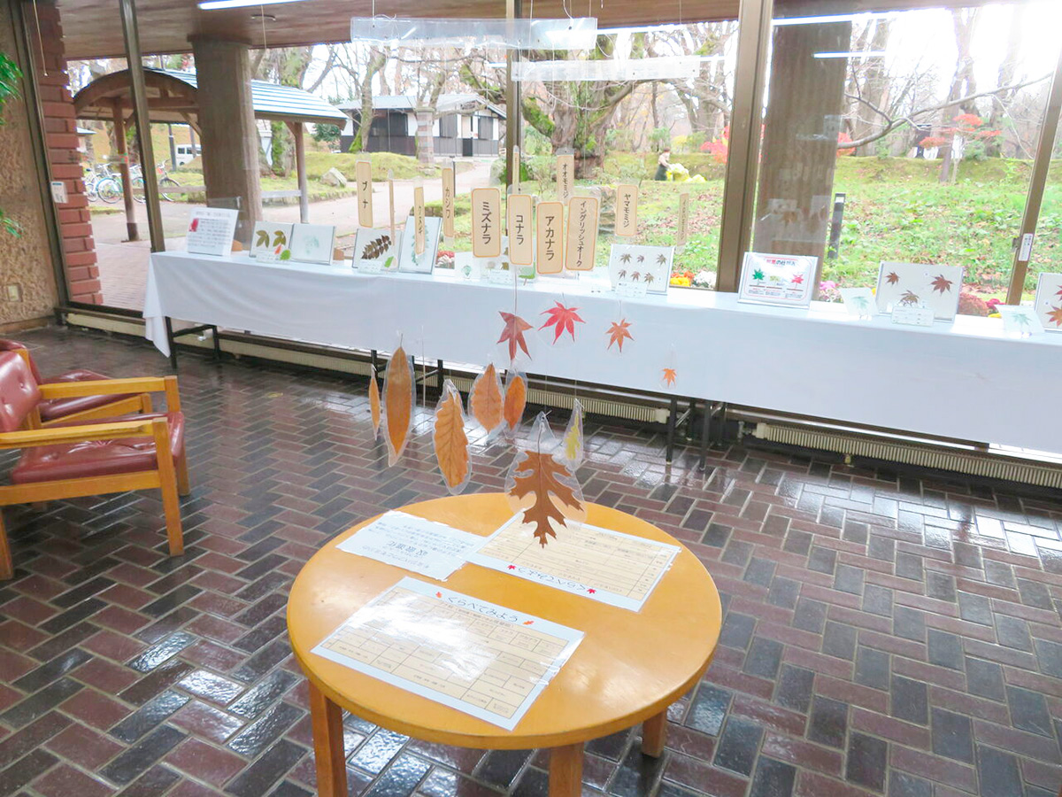 木の葉展