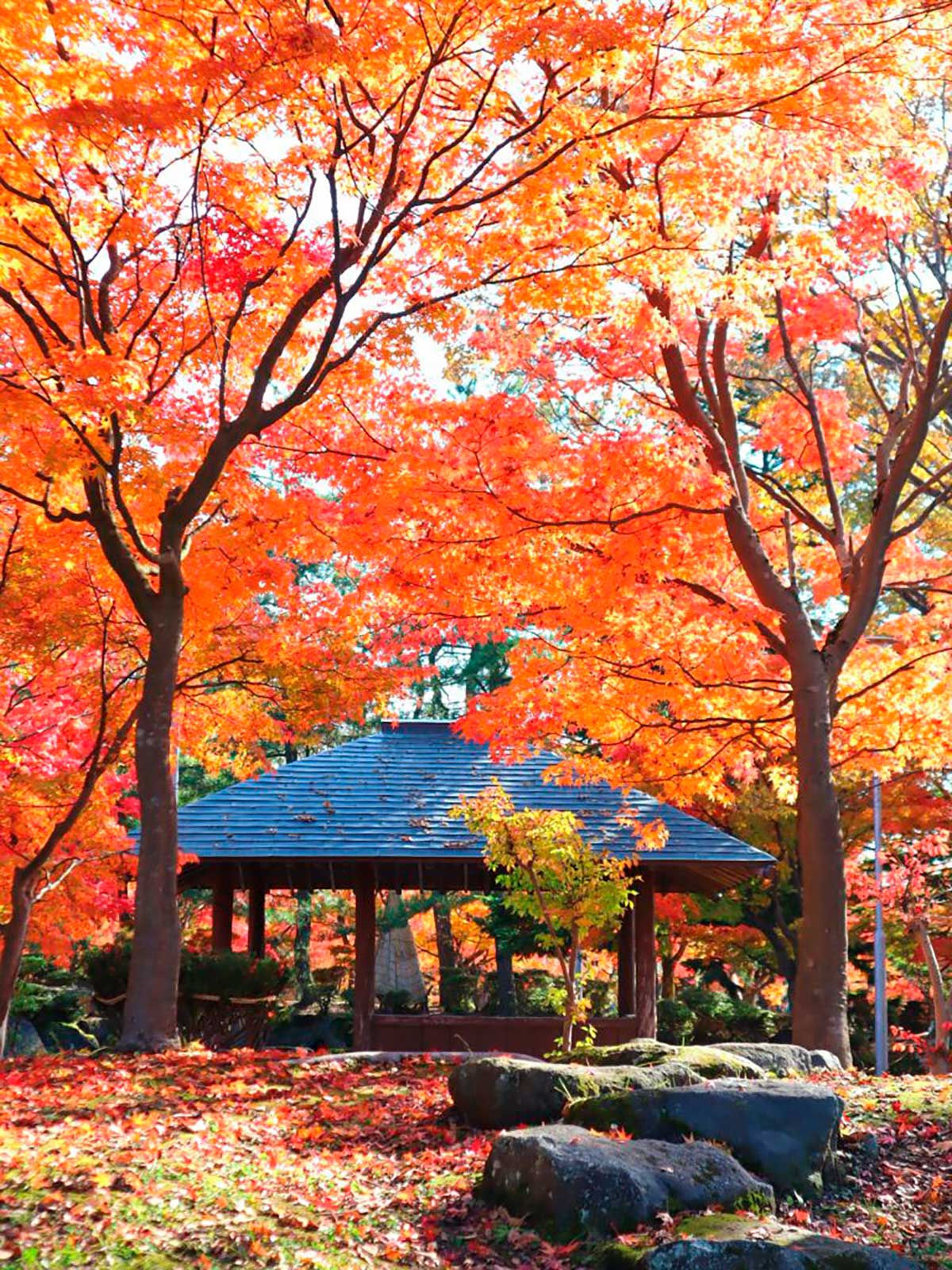 猿賀公園 紅葉まつり2026