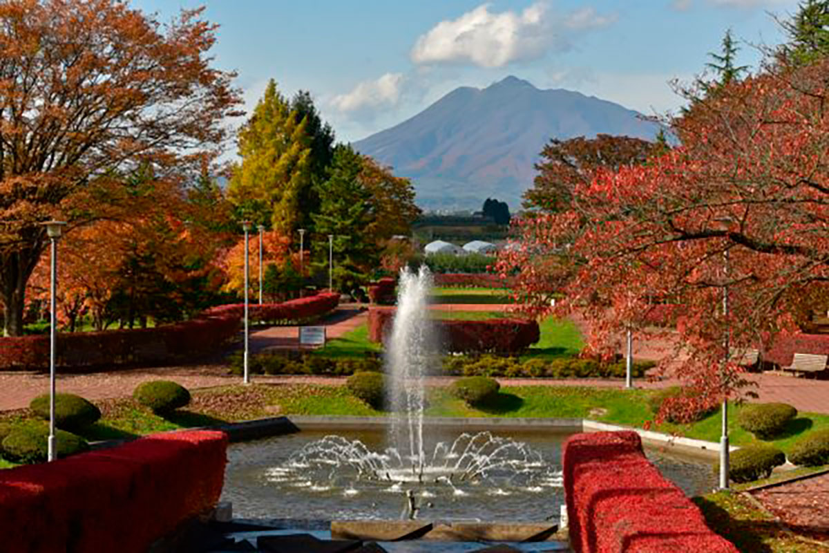 猿賀公園 紅葉まつり2026