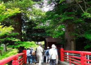 樹木医と行く古木・名木めぐり