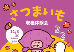 さつまいも収穫体験会🍠
